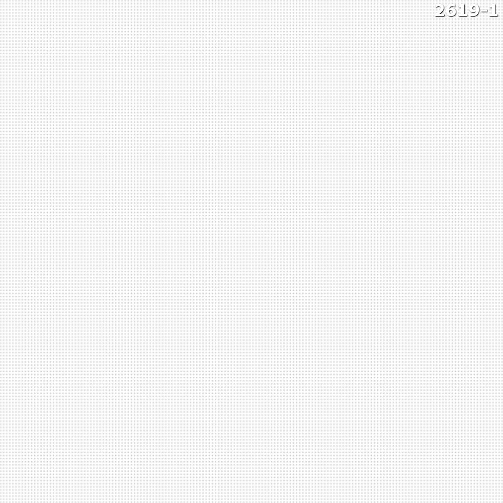 2619-1
