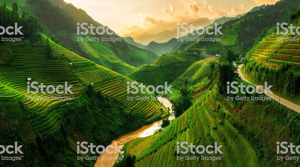 Ruộng bậc thang - Núi rừng Tây Bắc