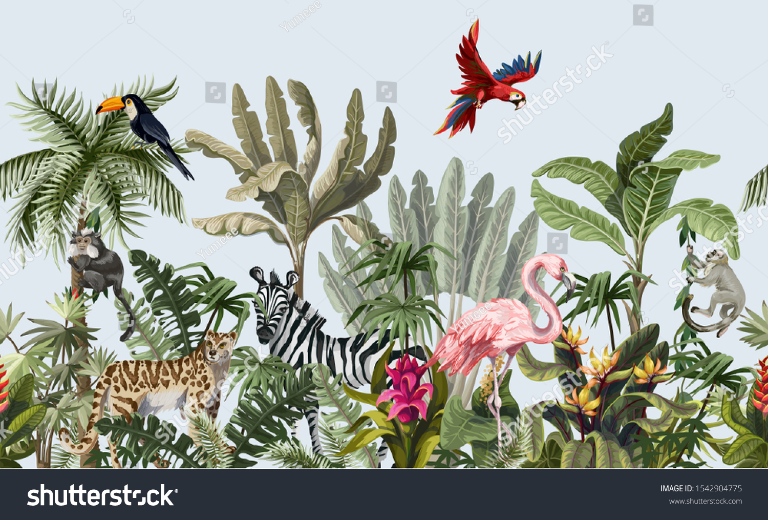 Tropical Forest - Rừng nhiệt đới