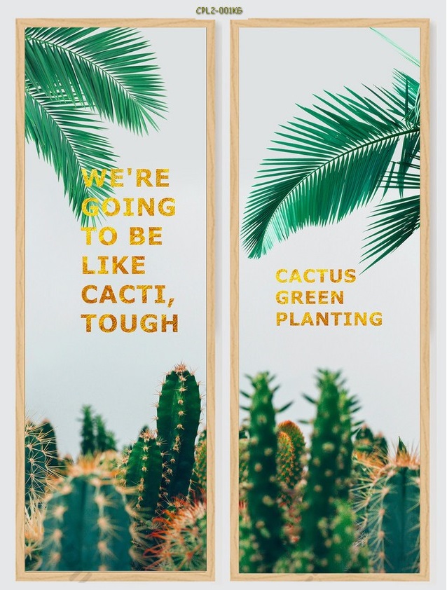 Đồi cây Xương Rồng CPL2-001KG