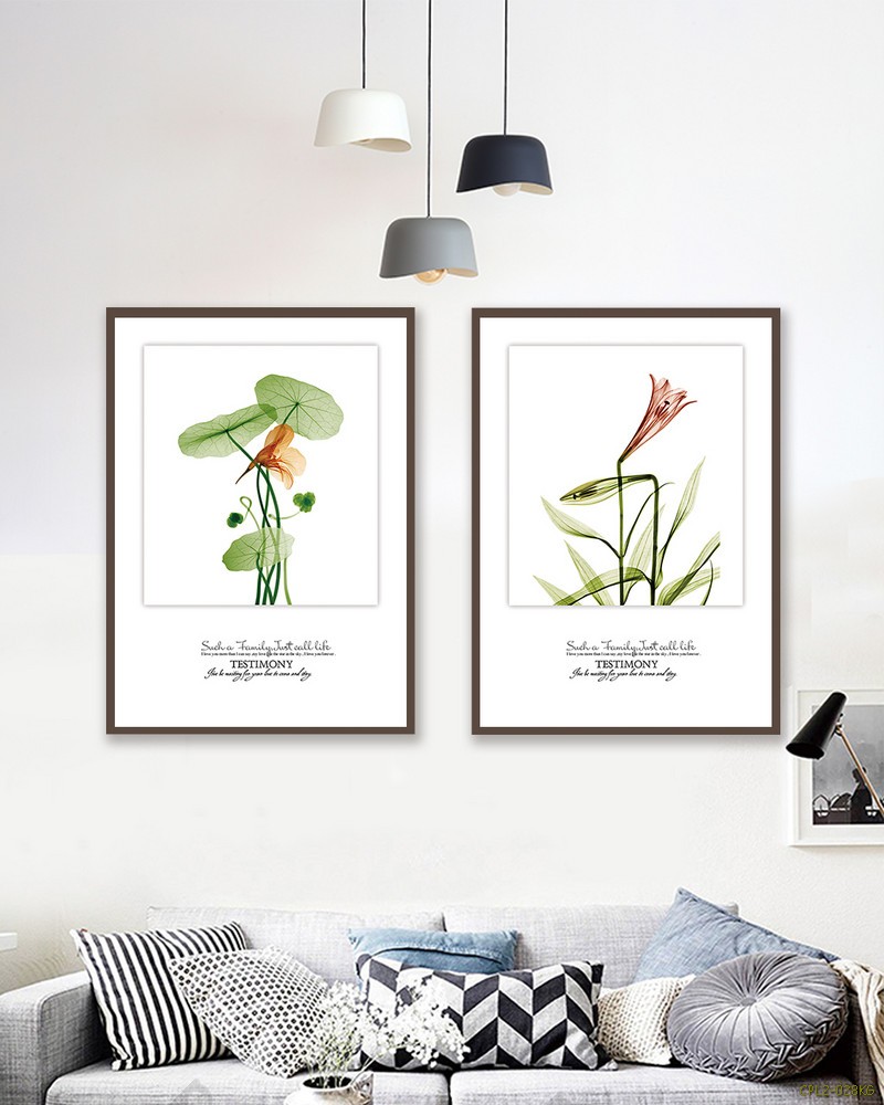 Bộ cây hoa loa kèn CPL2-028KG