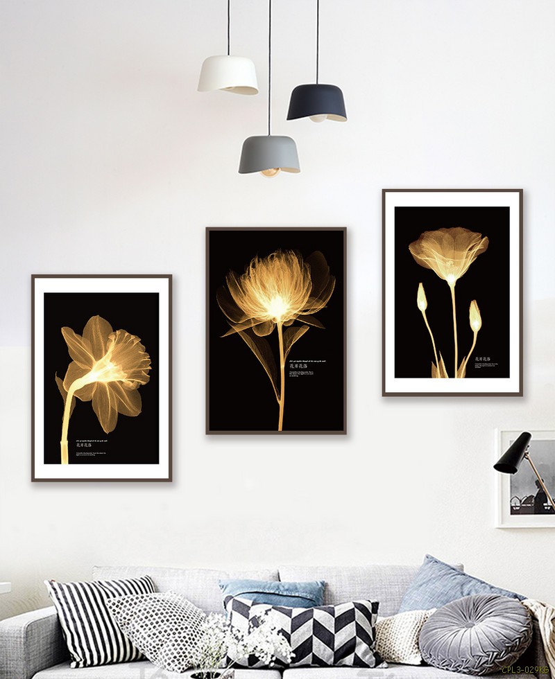 Tranh bộ hoa phát sáng CPL3-029KG