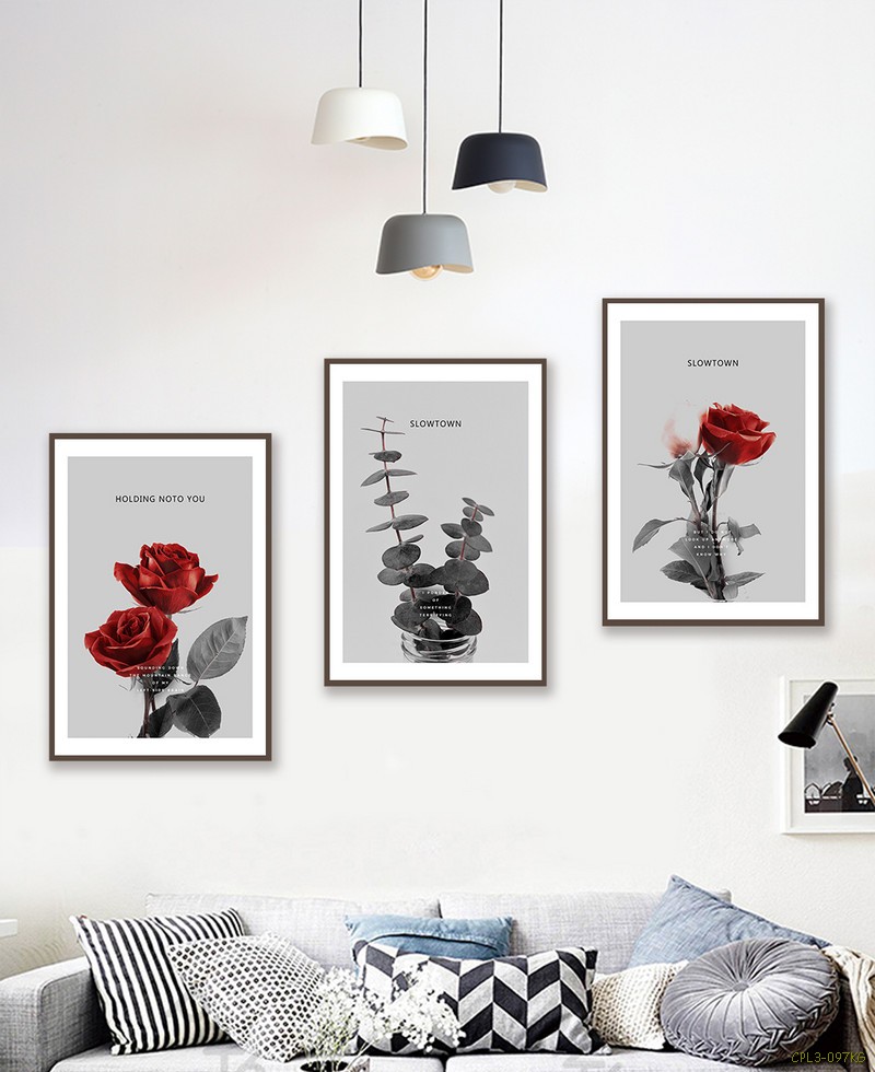 Sắc đỏ hoa Hồng CPL3-097KG