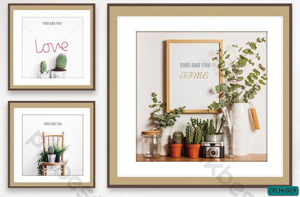 Trang trí chậu cây CPLH-009