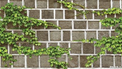 Giấy dán tường dây leo tường đá  88428-2