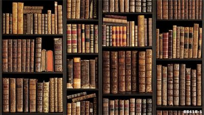 Giấy dán tường giá sách 88418-1