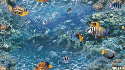 Giấy dán tường đại dương và nemo 88424-2