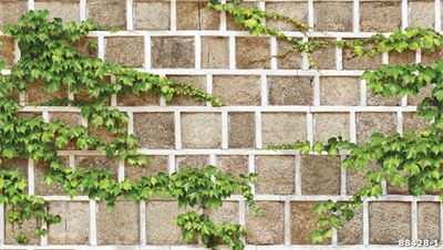 Giấy dán tường dây leo tường đá 88428-1