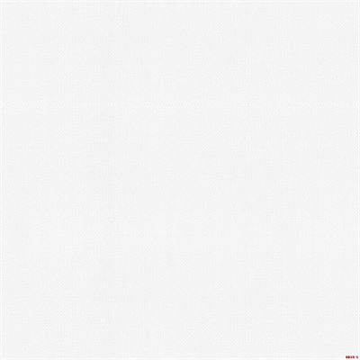 Giấy dán tường màu trắng Albany 6813-1