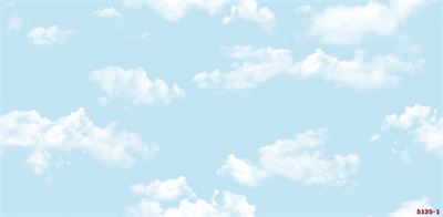 Giấy dán tường phòng trẻ em 5125-1