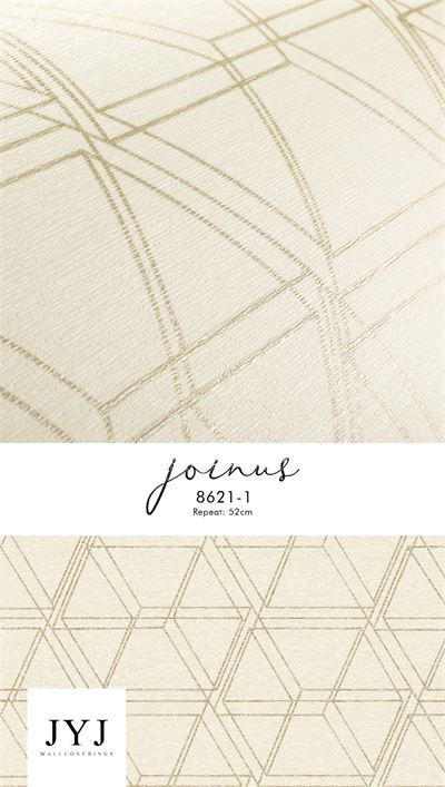 Giấy dán tường họa tiết 8621-3 - JOINUS