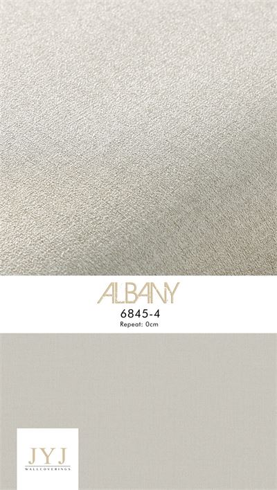 Giấy dán tường Albany 6845-4