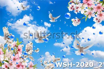 Dán trần trời xanh và hoa WSH-2020_2