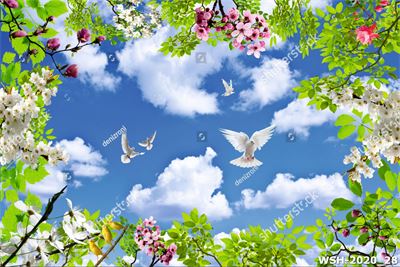 Dán trần trời xanh và hoa WSH-2020_28