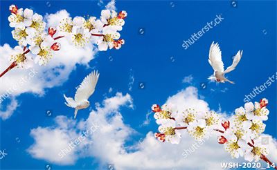 Dán trần trời xanh và hoa WSH-2020_14