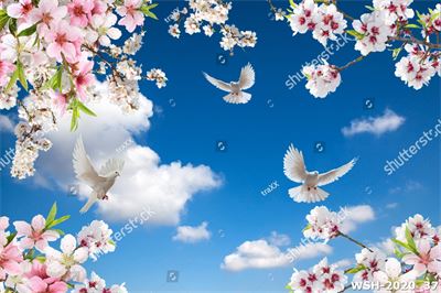 Dán trần trời xanh và hoa WSH-2020_37