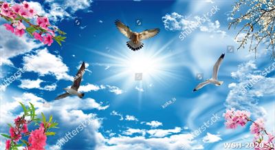 Dán trần trời xanh và hoa WSH-2020_4