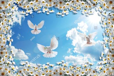 Dán trần trời xanh và hoa WSH-2020_20