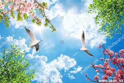 Dán trần trời xanh và hoa WSH-2020_53