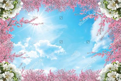 Dán trần trời xanh và hoa WSH-2020_41