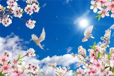 Dán trần trời xanh và hoa WSH-2020_44