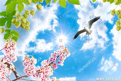 Dán trần trời xanh và hoa WSH-2020_17