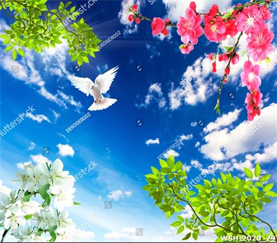 Dán trần trời xanh và hoa WSH-2020_29