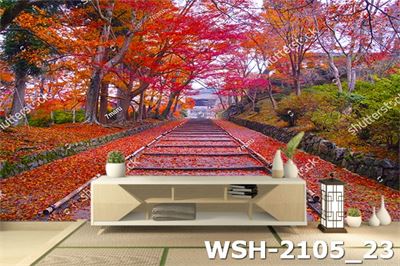 Con đường mùa thu WSH-2105_23