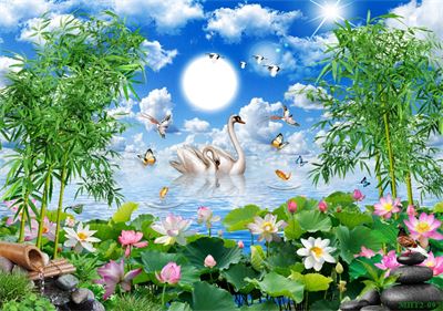 Phong cảnh sơn thủy hữu tình MHT2-097