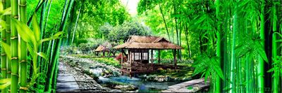 Phong cảnh sơn thủy hữu tình MHT2-098