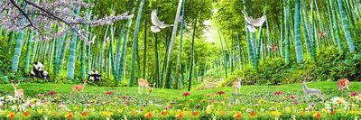 Phong cảnh sơn thủy hữu tình MHT2-059