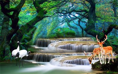 Phong cảnh sơn thủy hữu tình MHT2-066