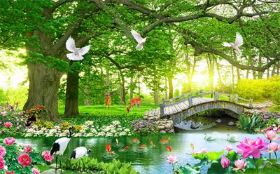 Phong cảnh sơn thủy hữu tình MHT2-165