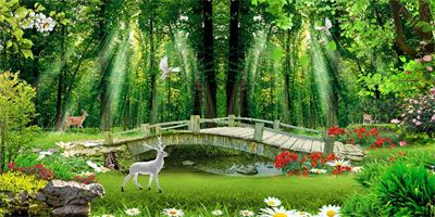 Phong cảnh sơn thủy hữu tình MHT2-111