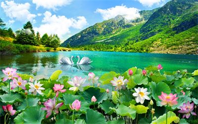 Phong cảnh sơn thủy hữu tình MHT2-099