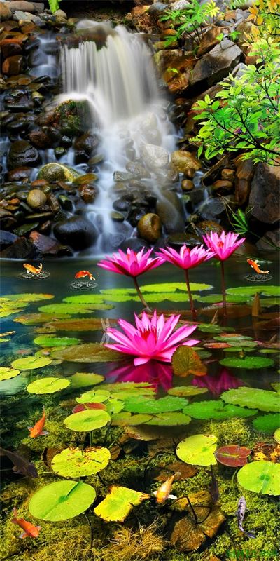 Phong cảnh sơn thủy hữu tình MHT2-089