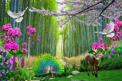 Phong cảnh sơn thủy hữu tình MHT2-095