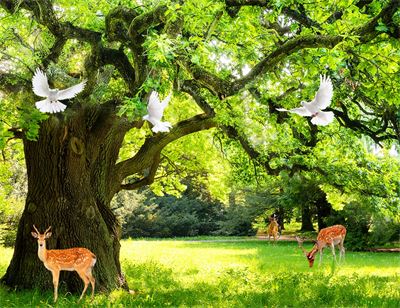 Phong cảnh sơn thủy hữu tình MHT2-159