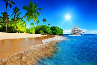 Thuận buồm xuôi gió MTB-031