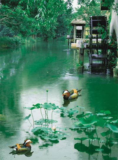 Phong cảnh sơn thủy hữu tình MHT2-051