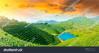 Ruộng bậc thang Tây Bắc MRBT-007