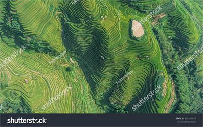 Ruộng bậc thang Tây Bắc MRBT-034