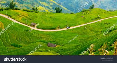 Ruộng bậc thang Tây Bắc MRBT-022