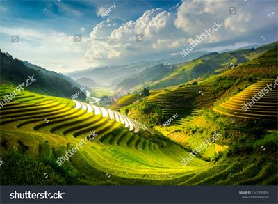 Ruộng bậc thang Tây Bắc MRBT-033