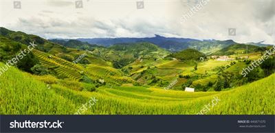 Ruộng bậc thang Tây Bắc MRBT-019
