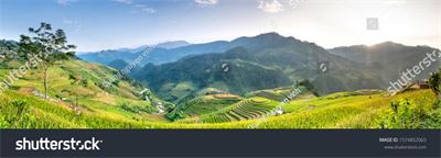 Ruộng bậc thang Tây Bắc MRBT-010