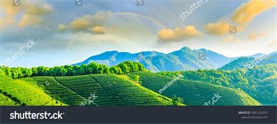 Ruộng bậc thang Tây Bắc MRBT-003