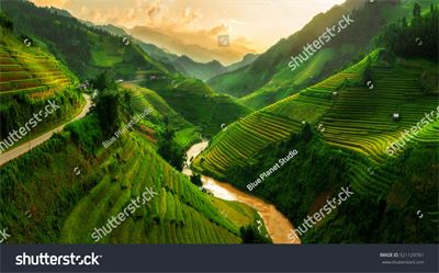 Ruộng bậc thang Tây Bắc MRBT-017