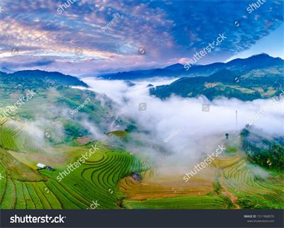 Ruộng bậc thang Tây Bắc MRBT-027