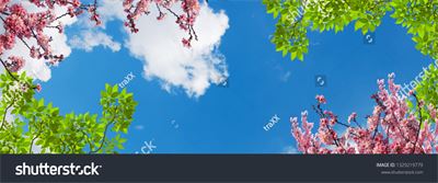 Dán trần hình hoa lá MDT-253